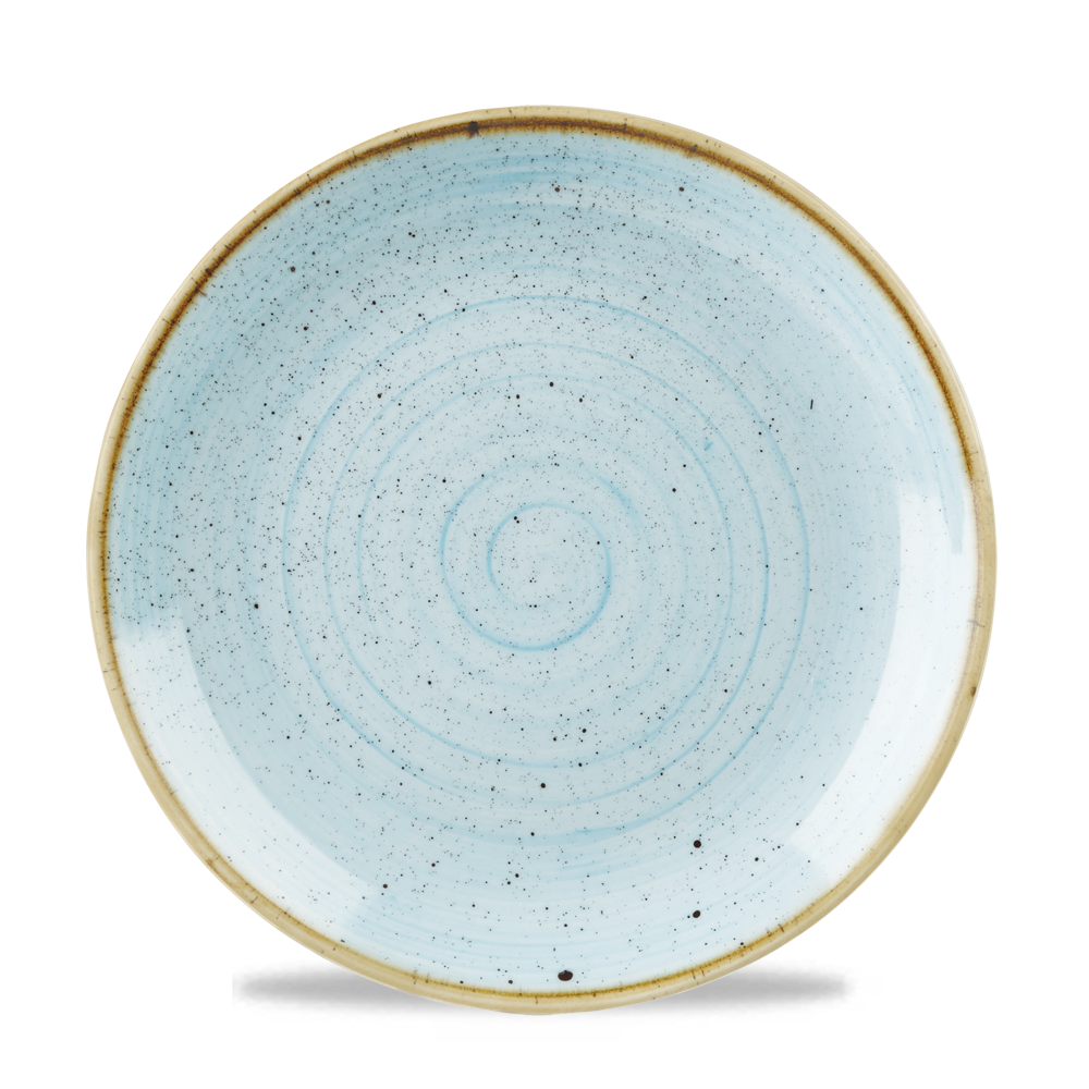 Stonecast Duck Egg Evolve Coupe Plate 10 5/8" Box 12