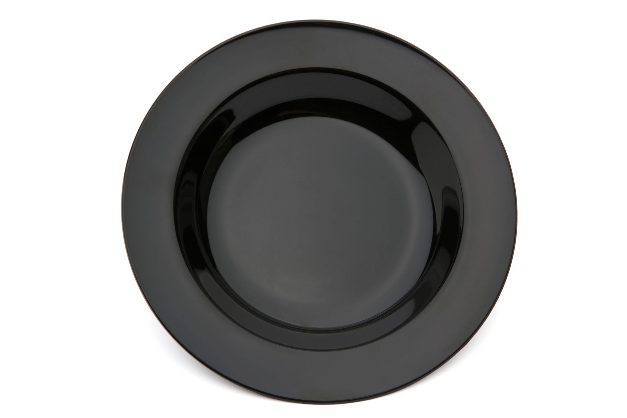 Wide Rimmed Soup/Pasta Plate