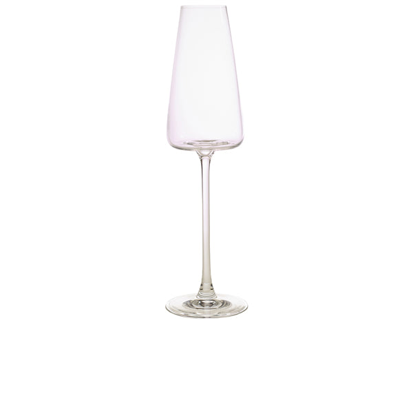 Cantilena Champagne Flute 24cl/ 8.4oz