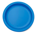 Small Med Blue Narrow Rimmed Plate