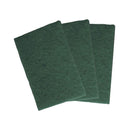 Ramon Standard Grade Green Scouring Pad Per 10