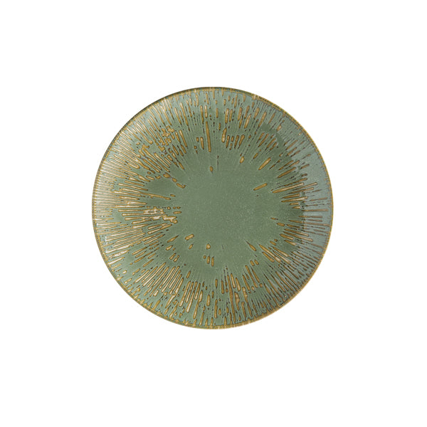 Sage Snell Gourmet Flat Plate 21cm pack of 12